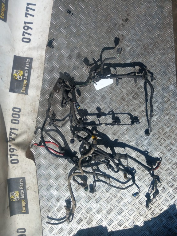 Cablaj motor Renault Laguna 3 2.0 DCI an 2008