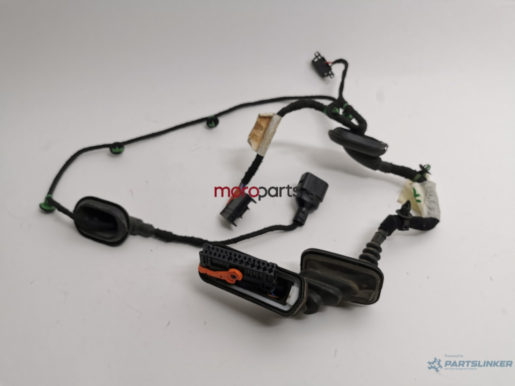 Cablaj portiera fata dreapta fata VOLKSWAGEN CADDY III Estate (2KB, 2KJ, 2CB, 2CJ) [ 2004 - 2015 ] TDI (CAYD) 75KW|102HP VAG OEM 1T0971121L