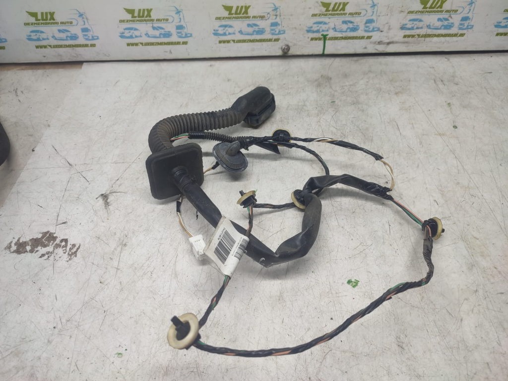 Cablaj usa 241271967R Renault Zoe [2012 - 2020] 5AQ601