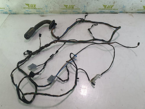 Cablaj usa 9116977 7184662 BMW X5 E70 [2006 - 2010] 3.0 d M57N2
