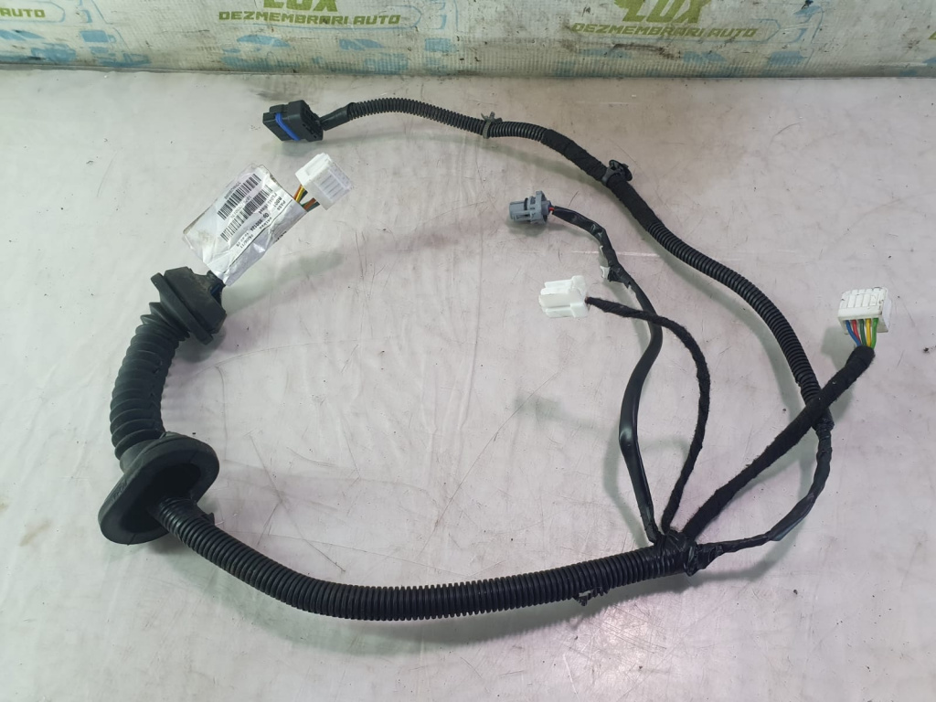 Cablaj usa dreapta spate 24127Jd10b Nissan Qashqai J10 [facelift] [2010 - 2014] 1.5 dci k9k430
