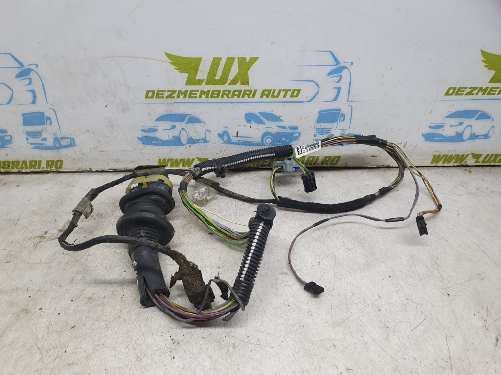 Cablaj usa dreapta spate 9653496980 Citroen C5 2 [2008 - 2017]