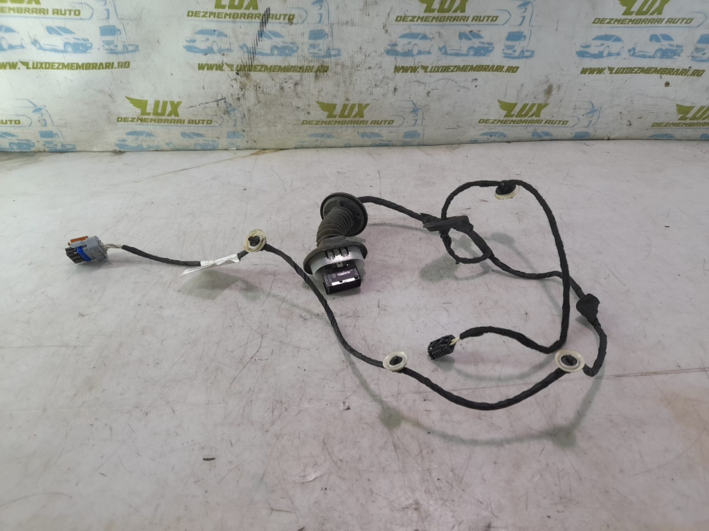 Cablaj usa dreapta spate 9815421580 Citroen C3 3 [2016 - 2020] 1.2 benzina HM05