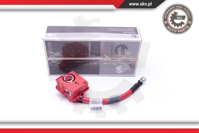 Cablu + baterie ; BMW E81 E87 ; 61129217017