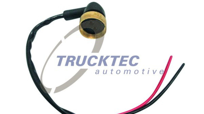 Cablu electric (0142072 TRUCKTEC)