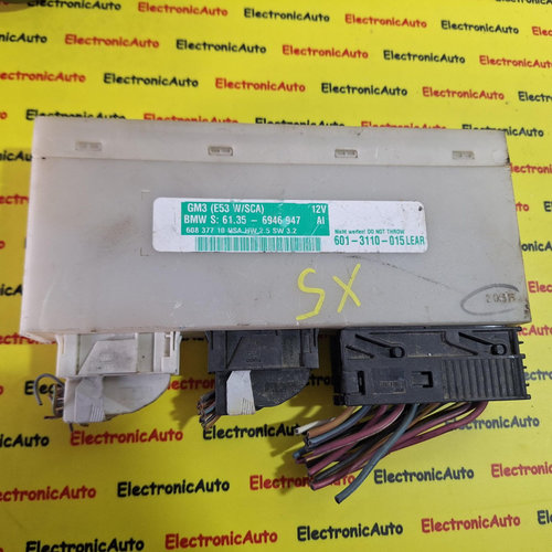 Calculator CONFORT LEAR BMW X5 E53, 61356946947, 6013110015,