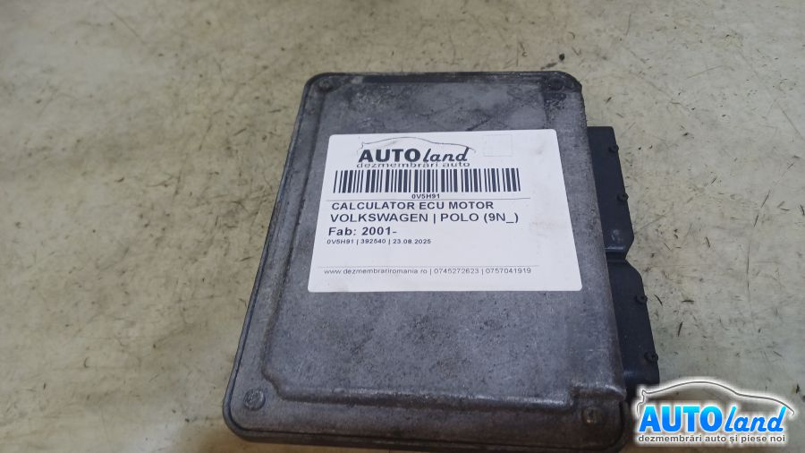 Calculator Ecu Motor 036906034de Volkswagen POLO 9N 2001