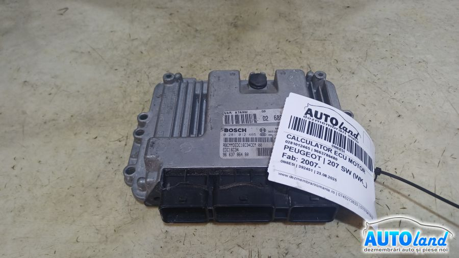 Calculator Ecu Motor 9663786480 0281012465 Peugeot 207 SW WK 2007
