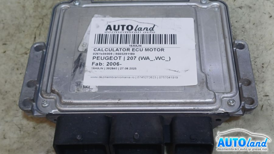 Calculator Ecu Motor 9665291180 0261s04009 Peugeot 207 2006