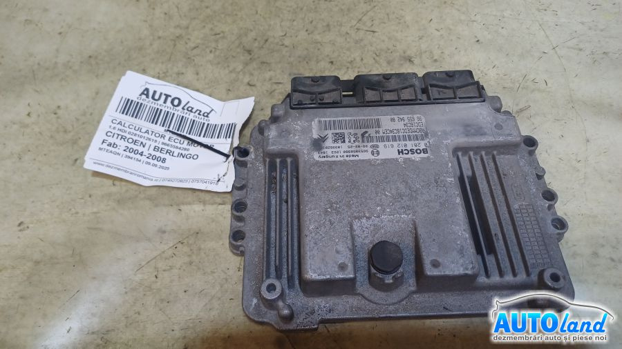 Calculator Ecu Motor 9665594280 1.6 HDI 