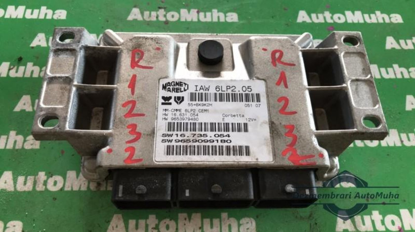 Calculator ecu Peugeot 307 (2001-2008) IAW SLP2 05