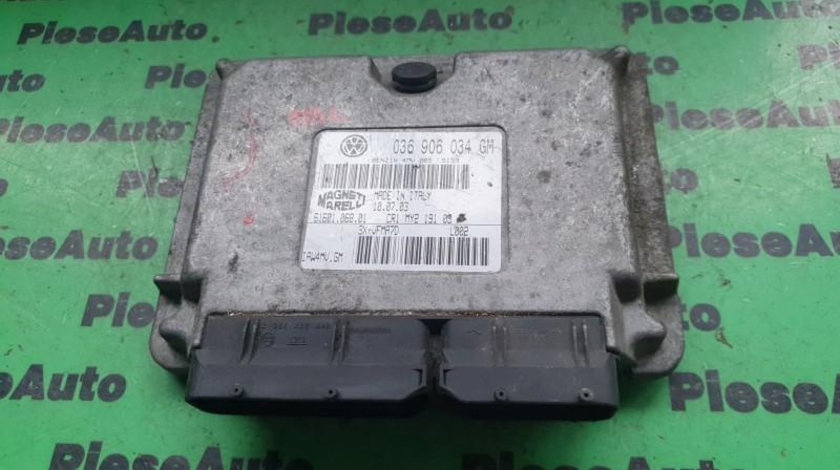 Calculator ecu Seat Ibiza 4 (2002-2009) 036906034gm