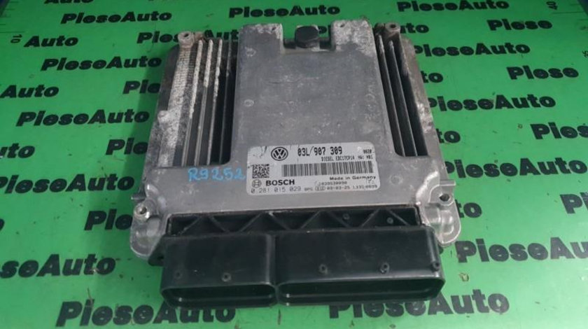 Calculator ecu Volkswagen Passat B6 3C (2006-2009) 0281015029