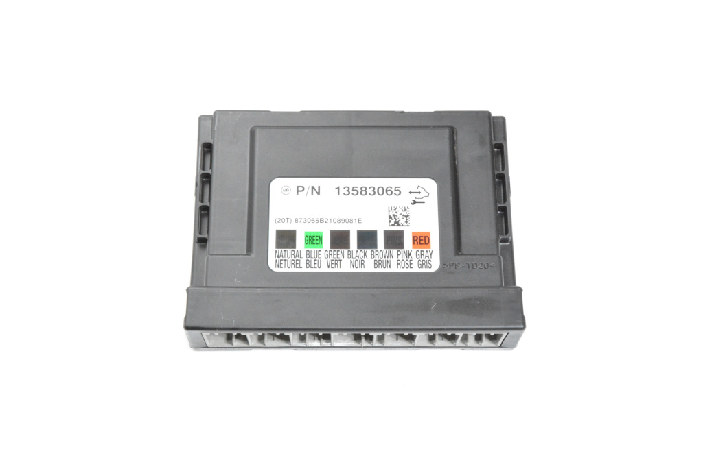 Calculator / Modul Chevrolet AVEO T250 2003 - 2011 Benzina 13583065