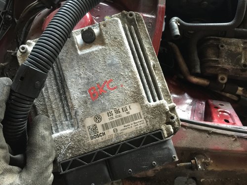 Calculator motor 03G906016K Skoda Octavia 2 1.9tdi, BXE
