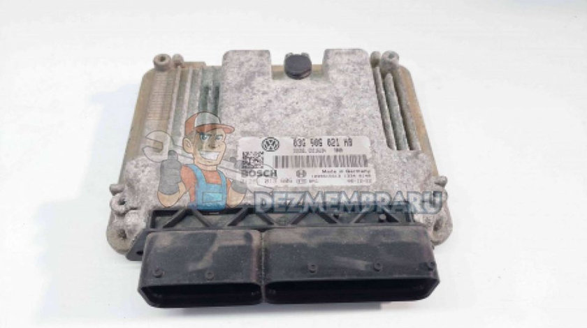 Calculator motor, 03G906021HB, 0281013606, Seat Leon (1P1), 1.9 TDI, BLS