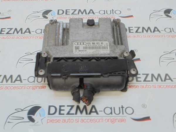 Calculator motor, 03G906021RG, 0281014125, Seat Leon (1P1) 1.9 tdi, BLS