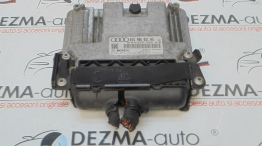 Calculator motor, 03G906021RG, 0281014125, Vw Golf 5 1.9 tdi, BLS