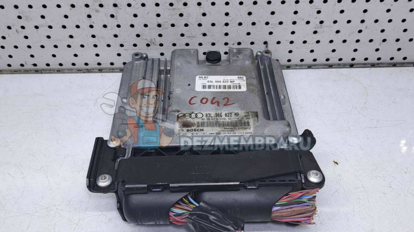 Calculator motor, 03L906022NP, 0281016141, Audi Q5 (8RB) 2.0 TDI, CAH