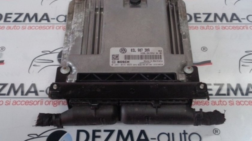 Calculator motor 03L907309, 0281015029, Audi A4 (8K, B8) 2.0tdi, CAHA