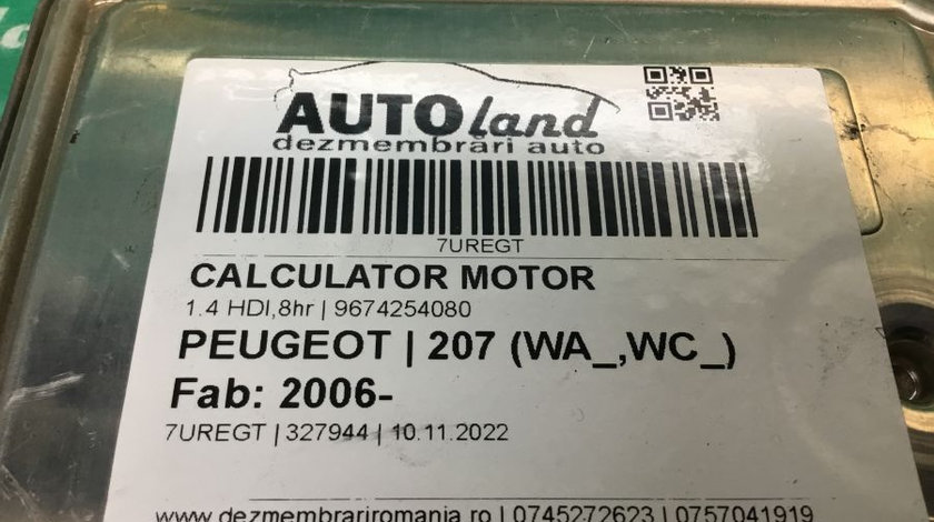 Calculator Motor 9674254080 1.4 HDI,8hr Peugeot 207 2006