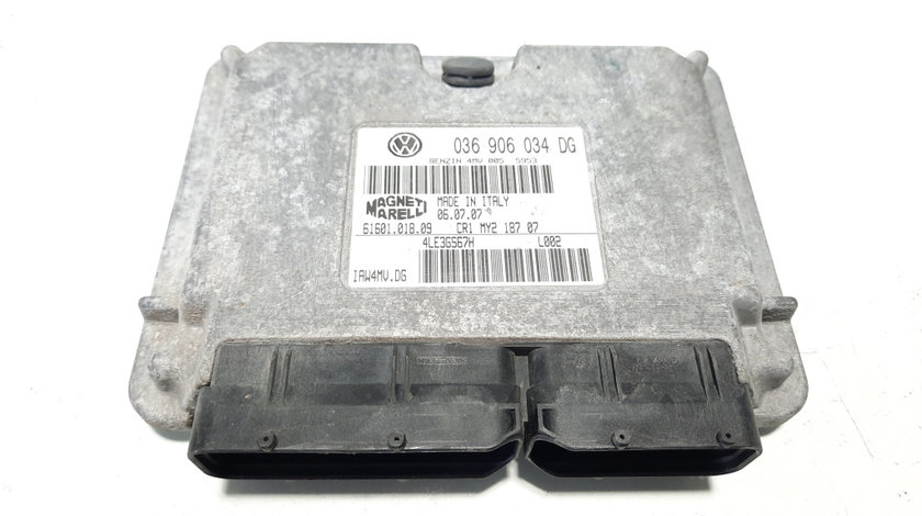 Calculator motor, cod 036906034DG, Seat Cordoba (6L2), 1.4 benz, BBZ (idi:491587)