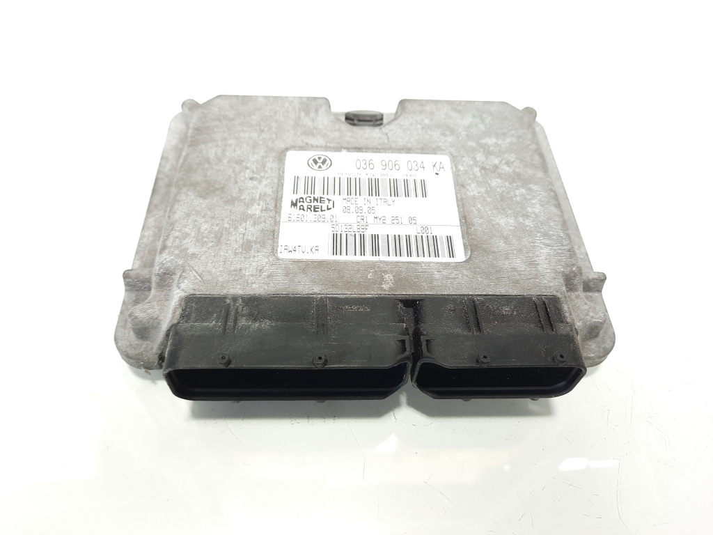 Calculator motor, cod 036906034KA, Seat Ibiza 4 (6L1) 1.4 benz, BKY (pr:110747)