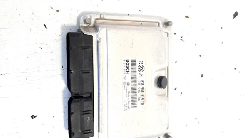 Calculator motor, cod 038906019ER, 0281010704, VW Passat (3B3), 1.9 TDI, AVF (idi:535616)