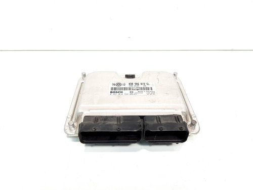 Calculator motor, cod 038906019GL, 0281010944, Audi A4 (8E2, B6), 1.9 TDI, AVB (idi:535600)