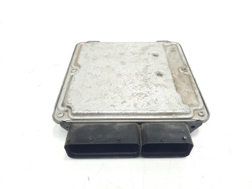 Calculator motor, cod 03G906016ET, 0281011843, Seat Leon (1P1). 2.0 TDI, BKD (idi:483351)