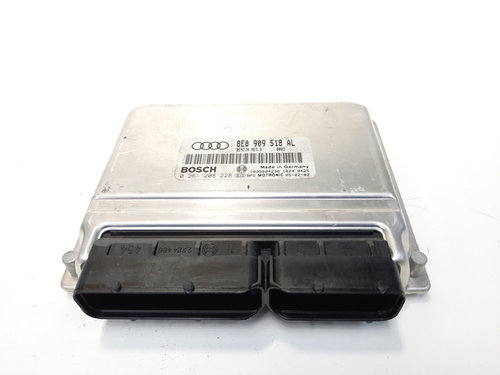 Calculator motor, cod 8E0909518AL, 0261208228, Audi A4 (8E2, B6), 1.8 T benz, BFB (idi:550119)
