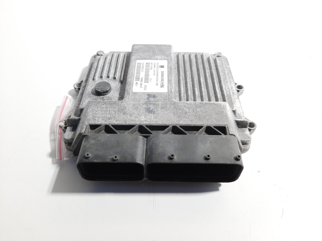 Calculator motor, cod GM55566390, Opel Combo, 1.3 CDTI, Z13DTJ (id:491725)