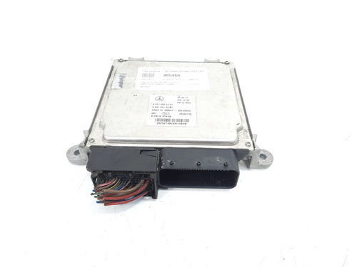 Calculator motor Delphi, cod A6519005301, A6519013301, Mercedes Clasa E T-Model (S212), 2.2 CDI, OM6...
