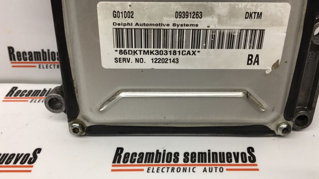 Calculator Motor DELPHI OPEL ZAFIRA 09391263 DKTM / 09391263DKTM / 12202143 BA / 12202143BA / G0100209391263 DKTM / 09391263DKTM / 12202143 BA / 12202143BA / G01002