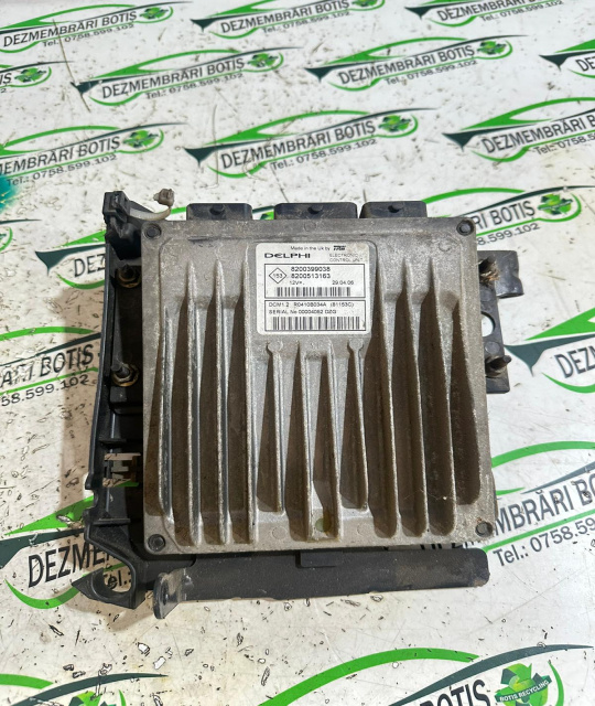 Calculator motor ECU #666 8200399038 Renault Megane 2 [2002 - 2006] Hatchback 5-usi 1.5 dCi MT (82 hp)