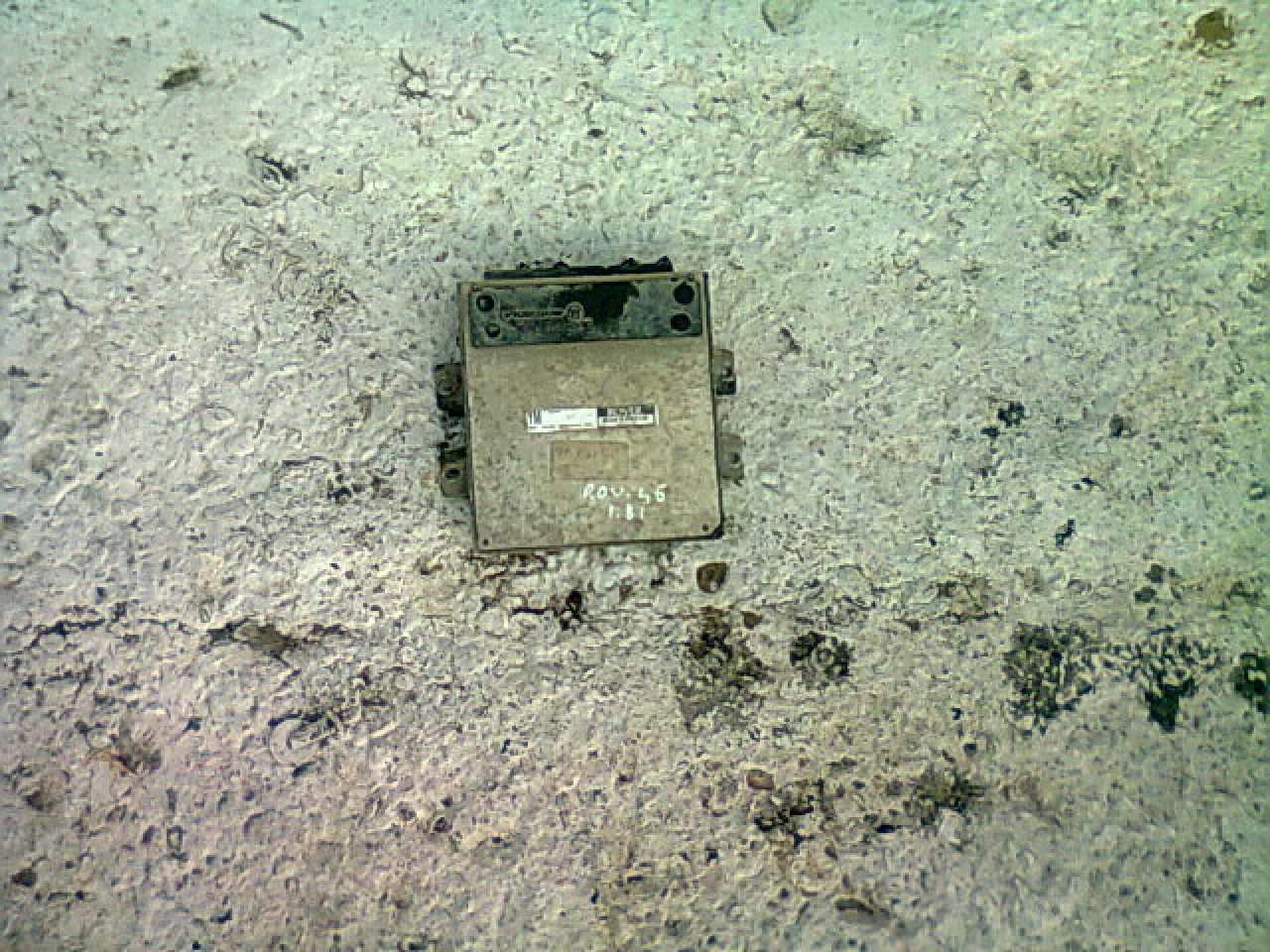 Calculator motor fara cip Rover 45 1.8i