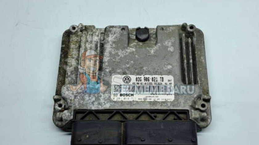 Calculator motor, Seat Toledo 3 (5P2), 03G906021TB, 028101711, 1.9 TDI, BXE