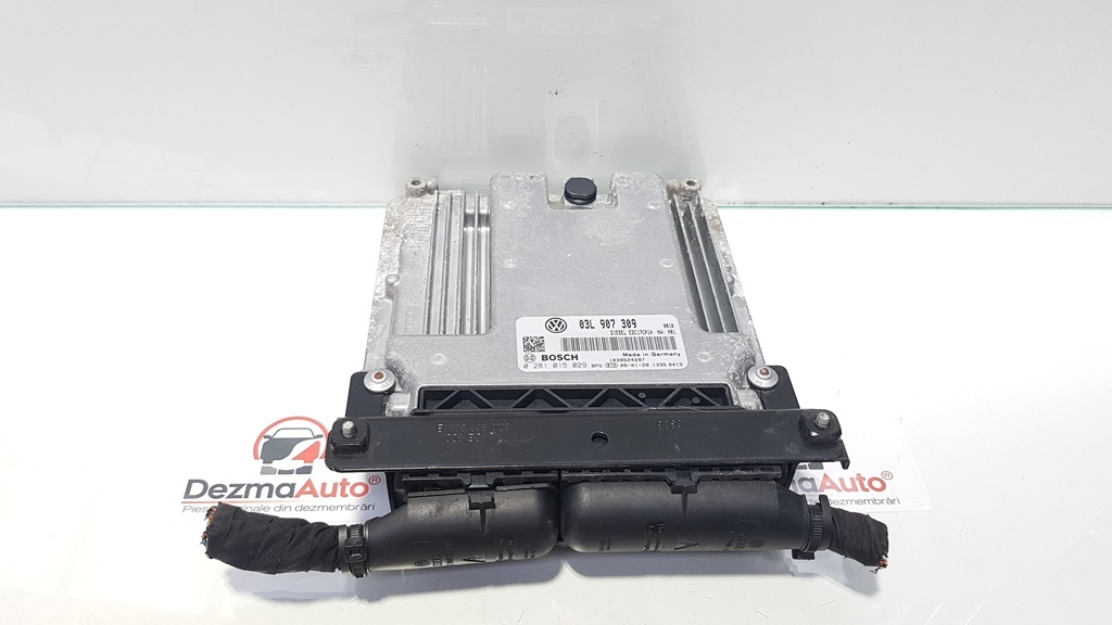 Calculator motor, Vw Passat (3C2) 2.0 tdi, cod 03L907309, 0281015029 (id:365732)