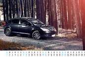 Calendar auto 2012