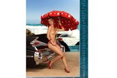 Calendar Sexy 2008 de la WERKSTATTkultur