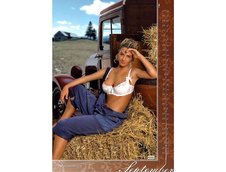 Calendar Sexy 2008 de la WERKSTATTkultur