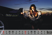 Calendar TM8BNZ 2011