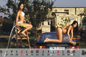 Calendar TM8BNZ 2011