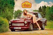 Calendar Trabant 2015