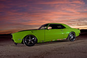 Camaro in the desert