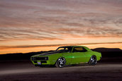 Camaro in the desert