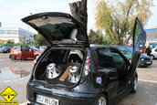 Campionat National Car-Audio