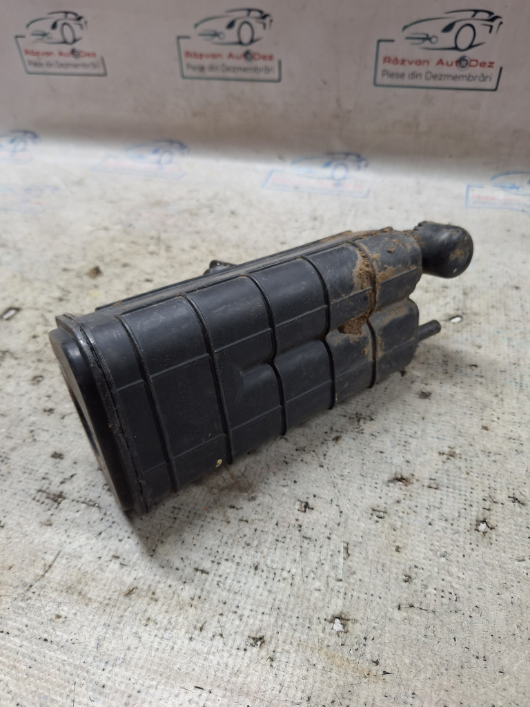 Canistra carbon Dacia Duster - Benzina 2019, 149507892R