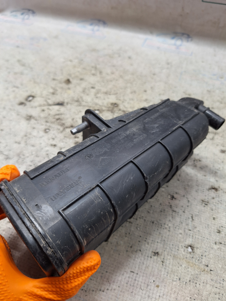 Canistra carbon Dacia Duster - Benzina 2019, 149507892R
