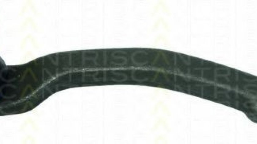 Cap de bara RENAULT MEGANE II (BM0/1, CM0/1) (2002 - 2011) TRISCAN 8500 25126 piesa NOUA